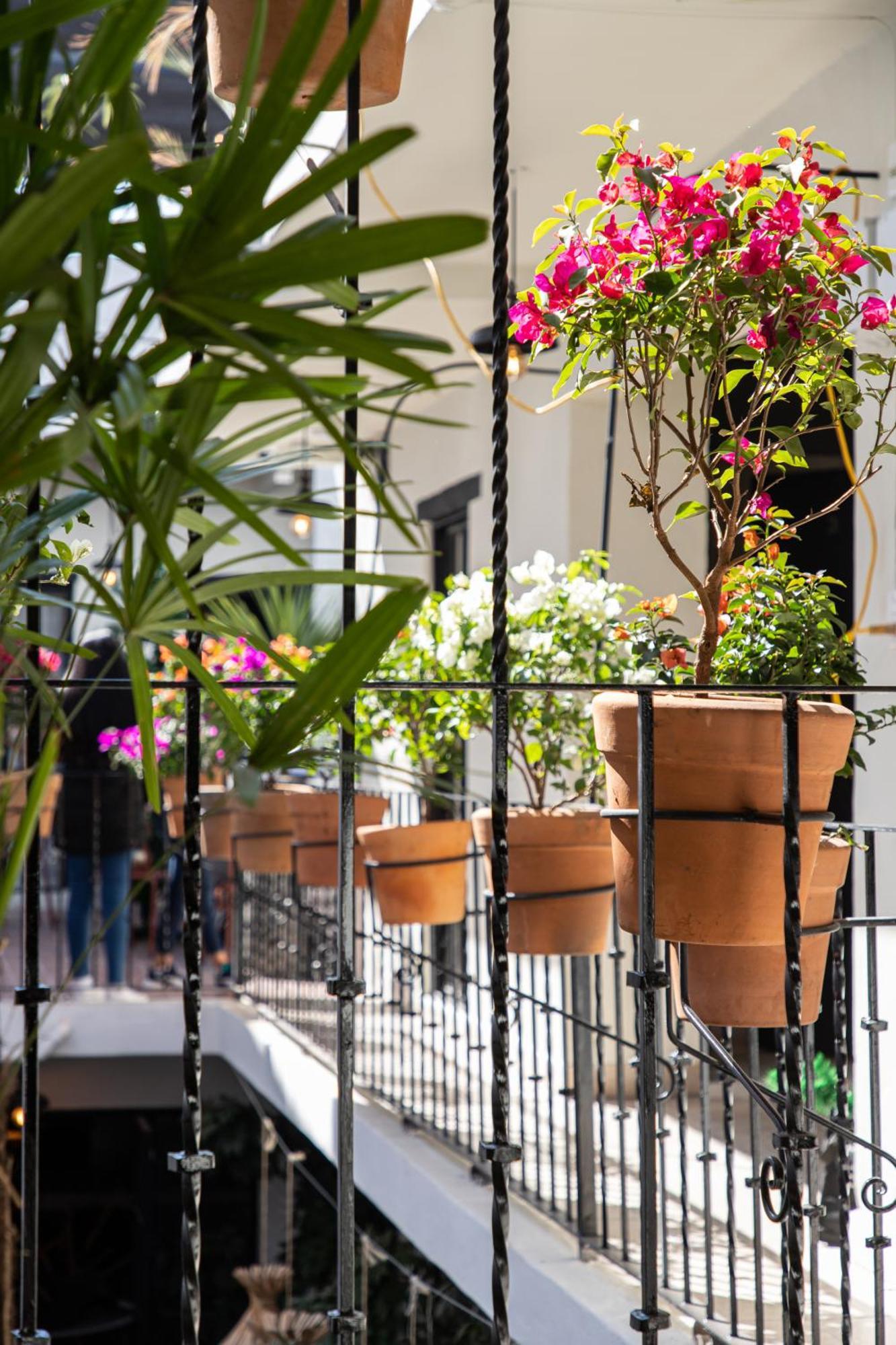 Holt Hotel Del Pueblito San Miguel de Allende Zewnętrze zdjęcie